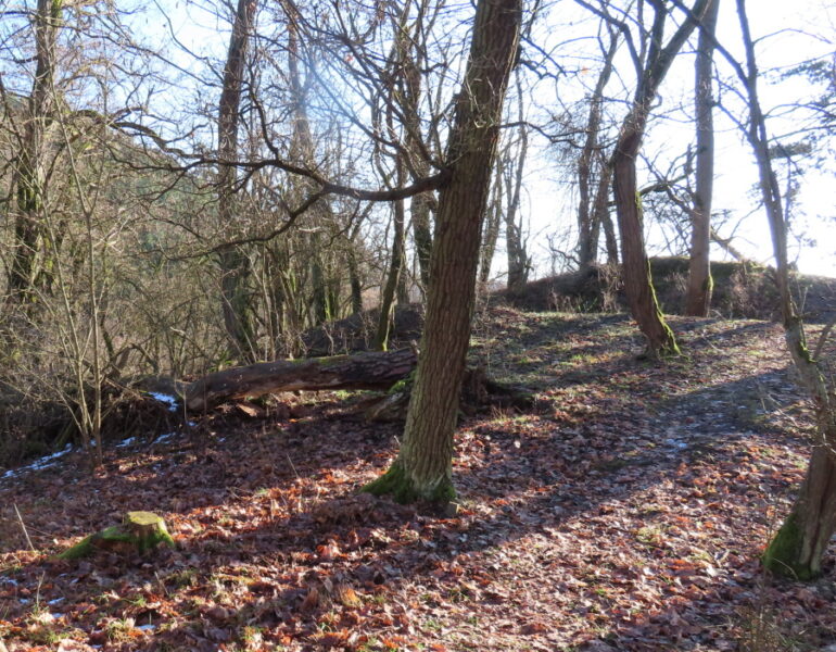 Cesta k vyhlídce nad vodopádem Dírka. Zdroj a autor foto: Pavla Košík Jelínková 