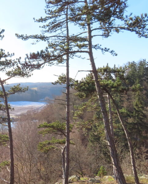 Vyhlídka nad vodopádem Dírka s okolními kopci. Zdroj a autor foto: Pavla Košík Jelínková