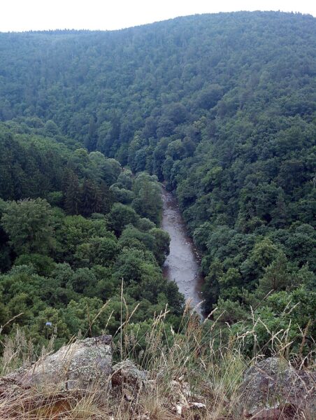 Národní přírodní rezervace Divoká Oslava.