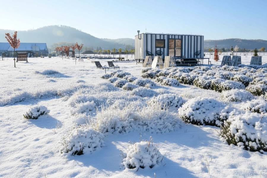 Levandulové údolí je ekologický areál u Chodouně s největšími BIO levandulovými poli v ČR. Zdroj: Levandulové údolí