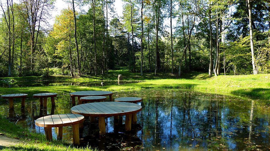 Tůně v Čarovném lese.