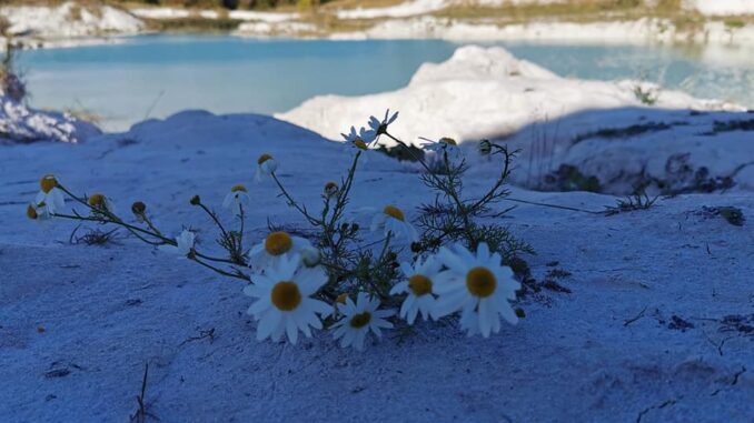 Lom Maledivy. Foto: Ivča Smolíková 