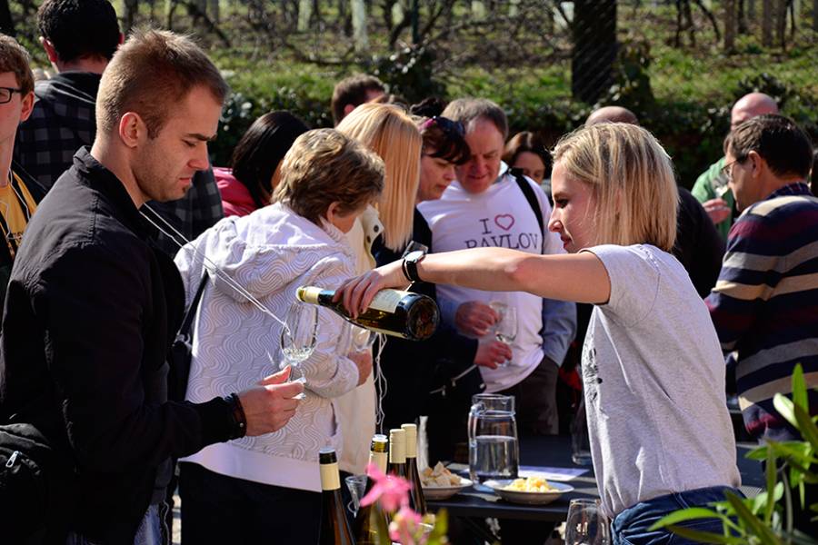 Ochutnávky vína na jarní vinařské stezce. Zdroj: Zdroj: Národní vinařské centrum
