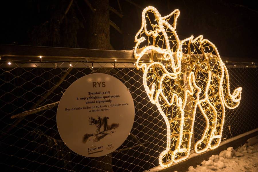 Krkonošská zvířata jsou představena jako přirození sportovci. Zdroj: Stezka korunami stromů Krkonoše