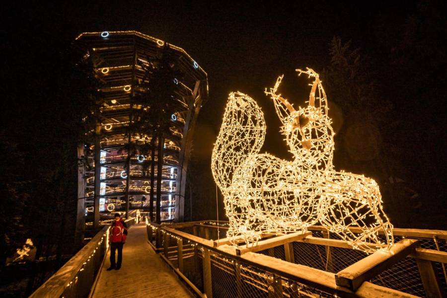 Unikátní zimní projekt nemá v tomto rozsahu v Česku obdoby. Zdroj: Stezka korunami stromů Krkonoše