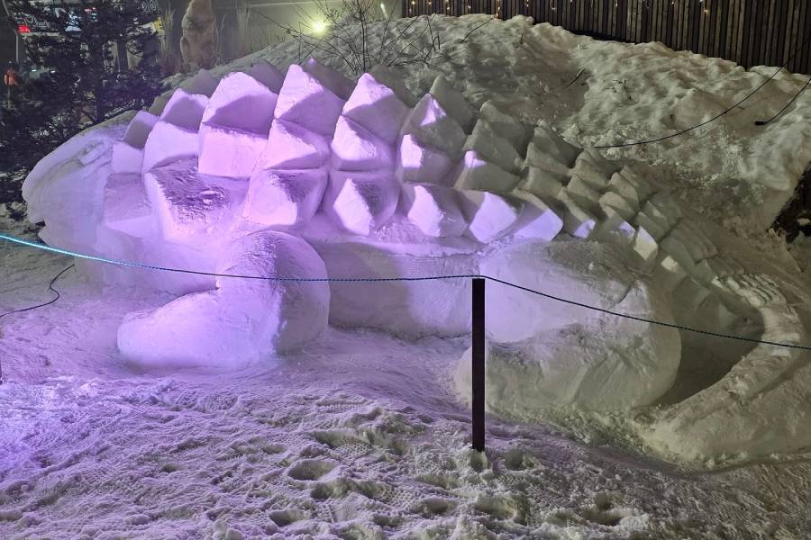 Jednu ze soch tvoří pravěký ještěr. Zdroj: Resort Kopřivná