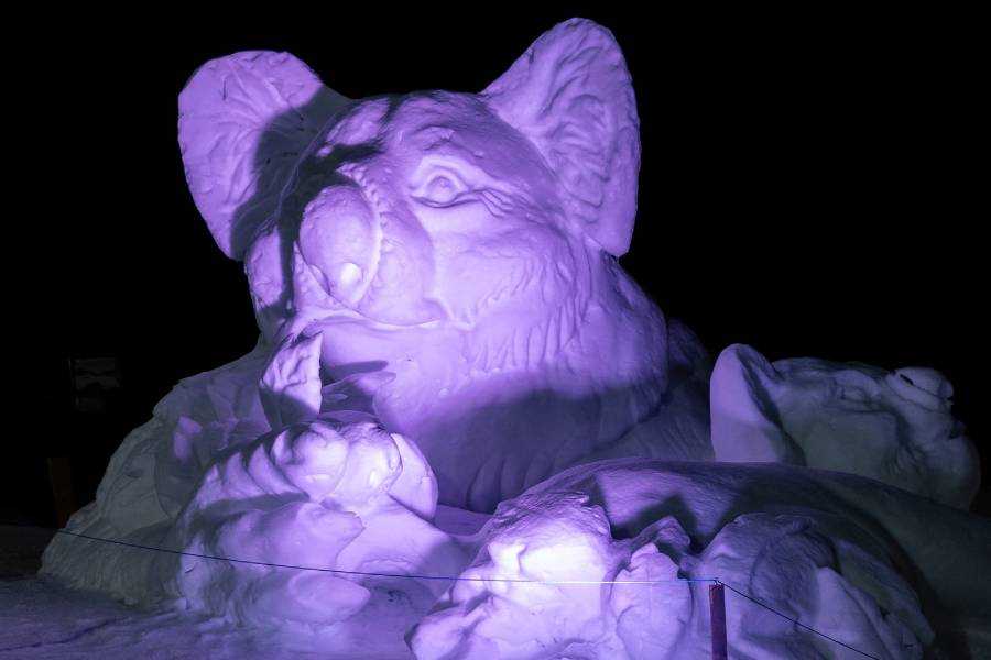 Sněhový koala. Zdroj: Resort Kopřivná