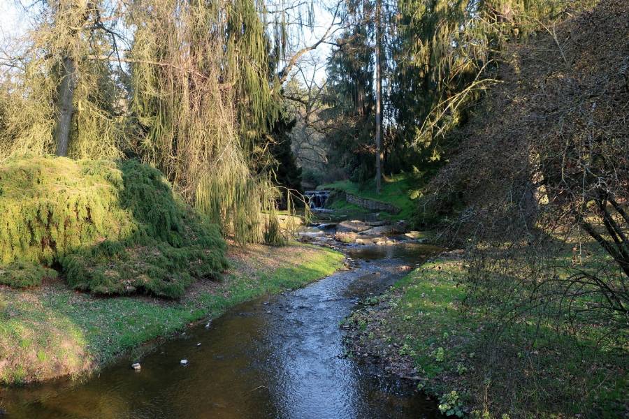 Průhonický park na začátku jara. Zdroj: Průhonická botanická zahrada - Botanický ústav AV ČR