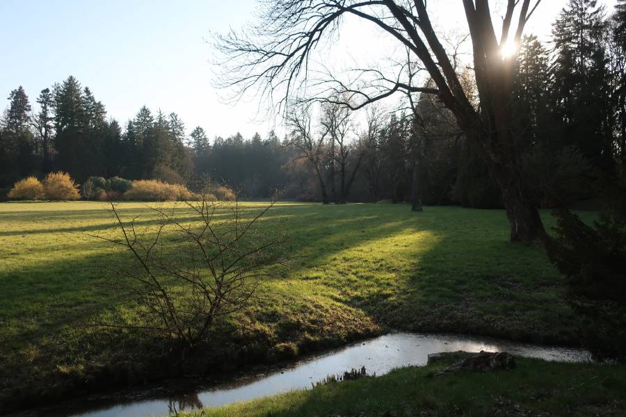 Průhonický park láká k procházce. Zdroj: Průhonická botanická zahrada - Botanický ústav AV ČR