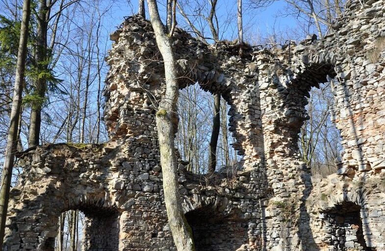 Zřícenina hradu Blansek v Moravském krasu. Foto: Petr Fabian. Zdroj: <a href="http://www.hrady-zriceniny.cz">Hrady-zříceniny.cz</a>
