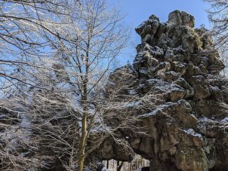 Zřícenina hradu Milštejn.