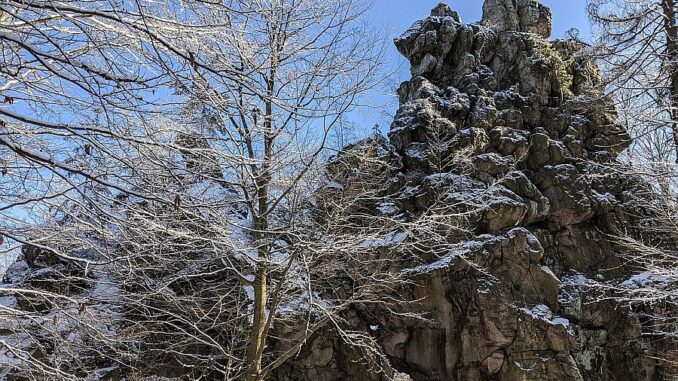 Zřícenina hradu Milštejn.