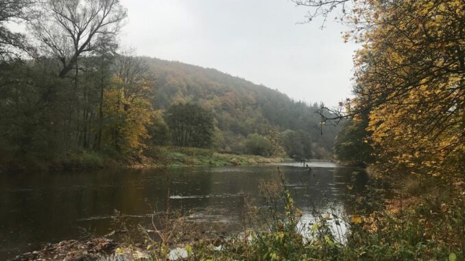 Pohled na přírodní rezervaci Kněží hora.