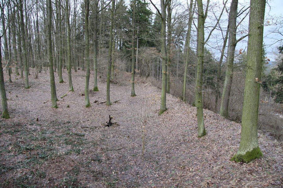 Kněží hora, zbytek valu.