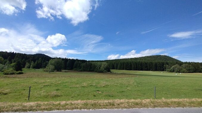 Kuní a Kraví hora.