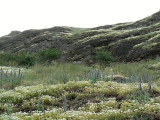 Krumlovsko-rokytenské slepence.