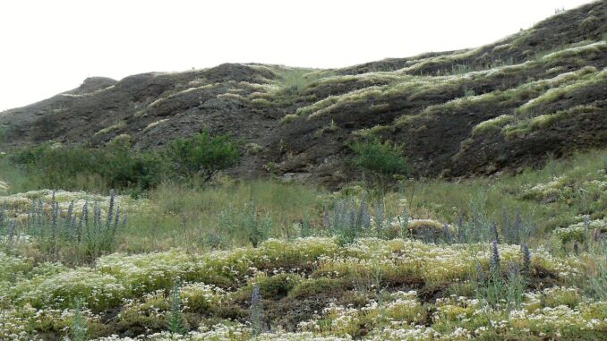 Krumlovsko-rokytenské slepence.