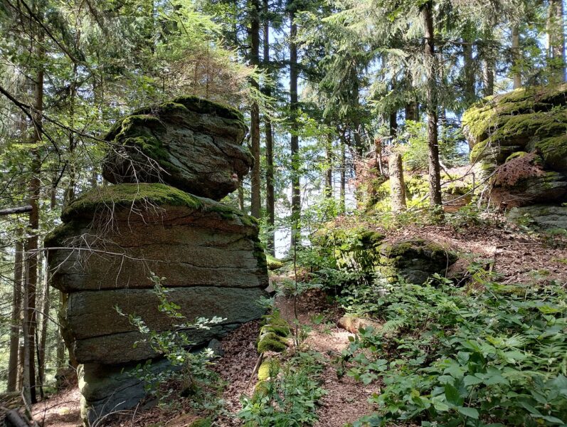 Kuní hora. Skalní útvary.