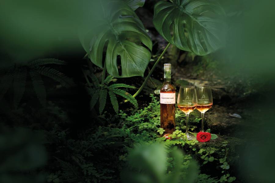 Valentýn ve Fata Morgana. Zdroj: Botanická zahrada Praha