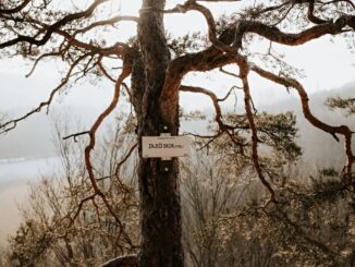 Zaječí skok. Foto: Monika Chaňo