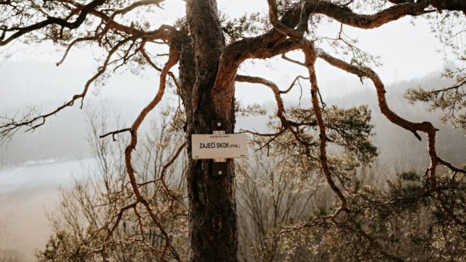 Zaječí skok. Foto: Monika Chaňo